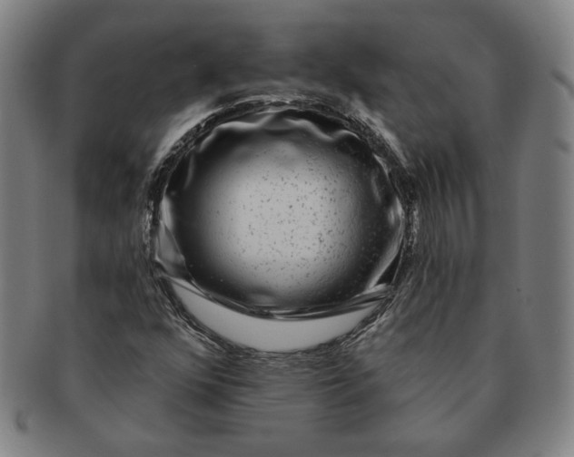 X0000091211352200708301419