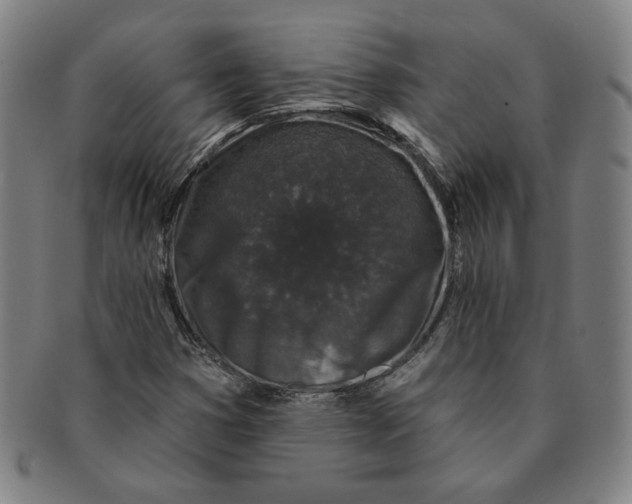 X0000091211353200708301419