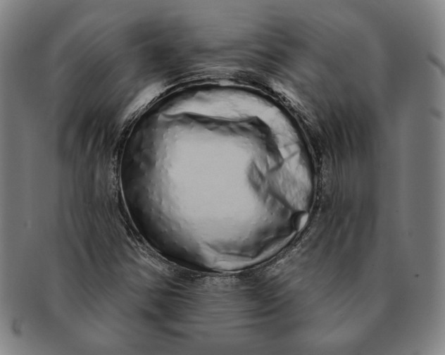 X0000091211354200708301419