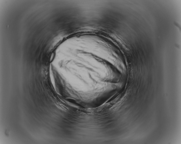 X0000091211355200708301419