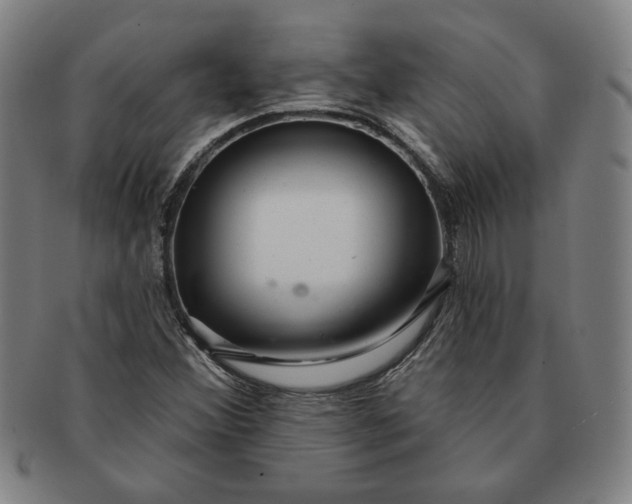 X0000091211356200708301419