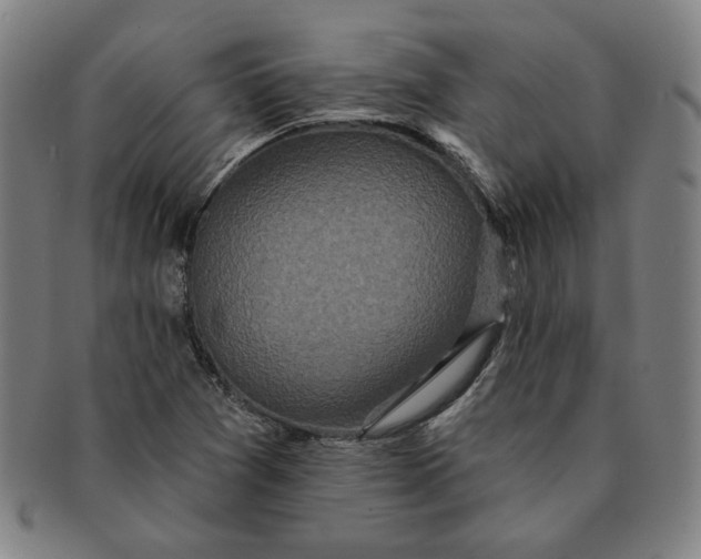 X0000091211361200708301419