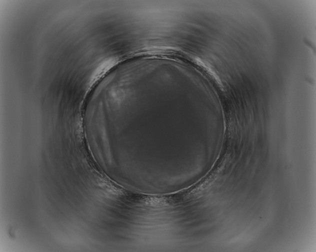 X0000091211362200708301419