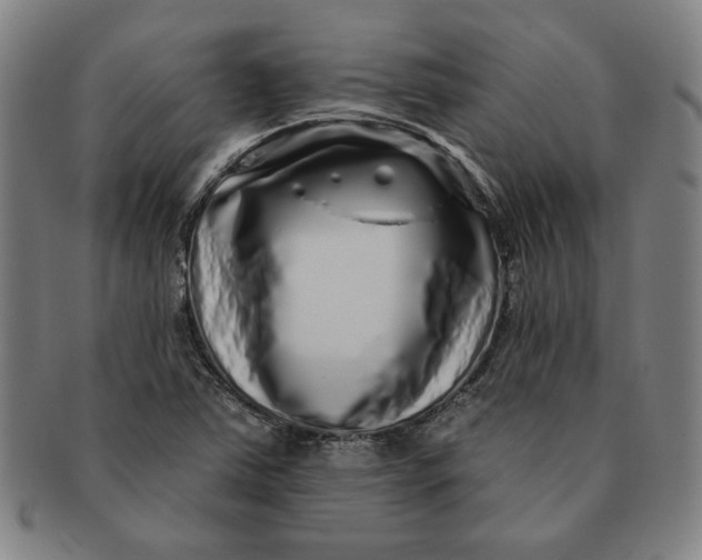 X0000091211363200708301419