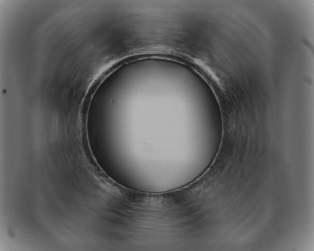 X0000091211364200708301419