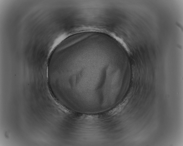 X0000091211365200708301419