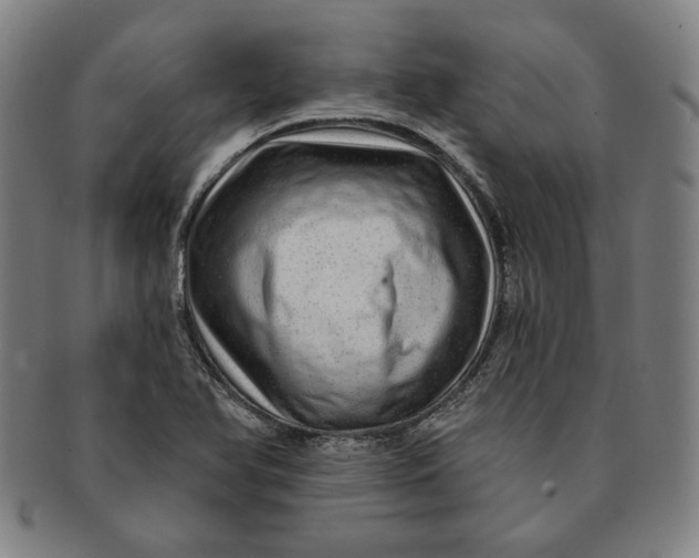 X0000091211366200708301419