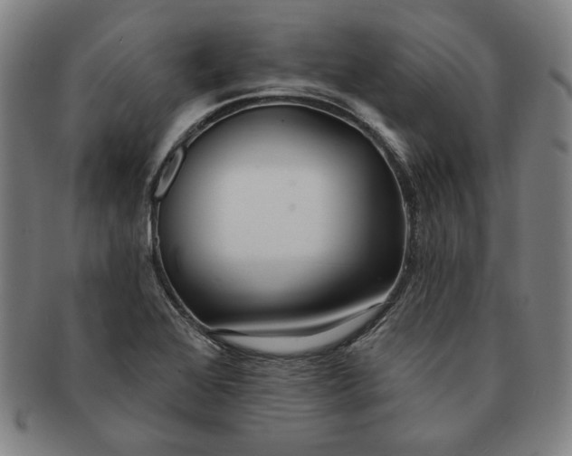 X0000091211368200708301419