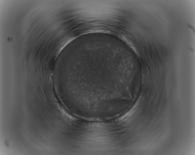 X0000091211369200708301419