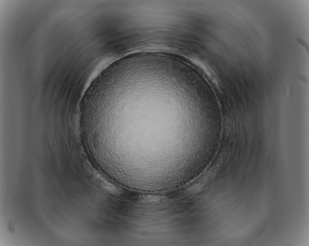 X0000091211374200708301418