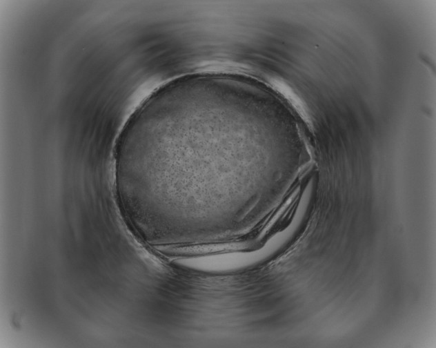 X0000091211376200708301418