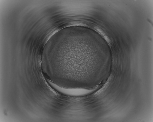 X0000091211377200708301418