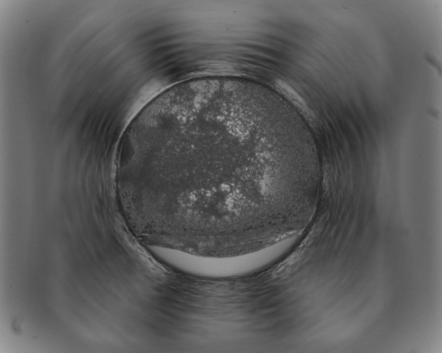 X0000091211378200708301418