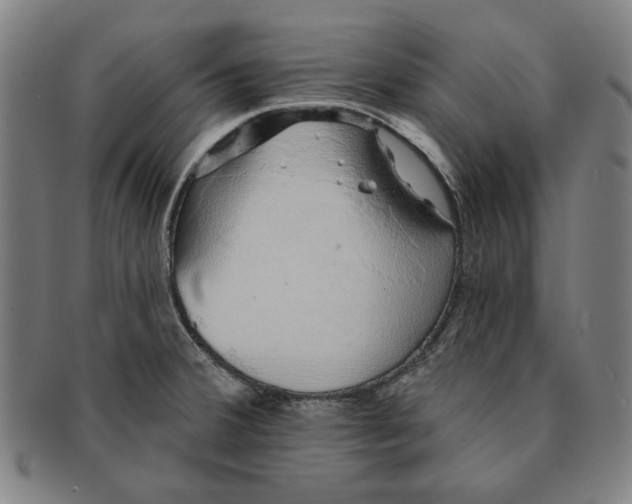 X0000091211380200708301418