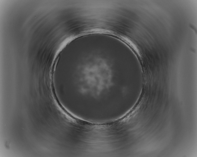 X0000091211381200708301418