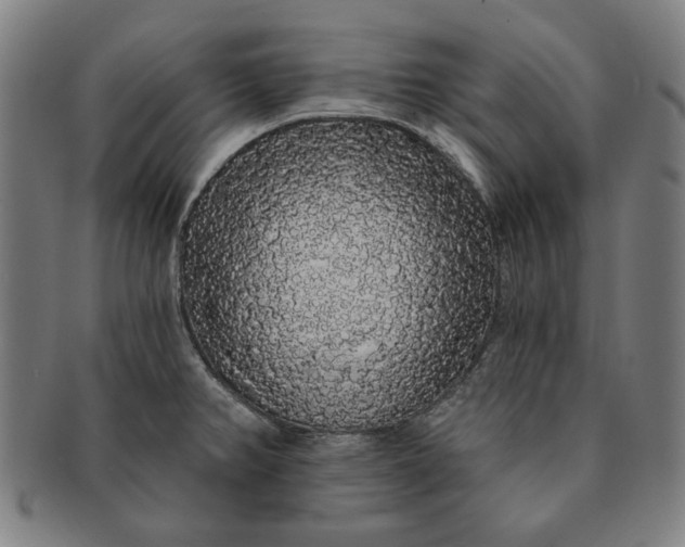 X0000091211382200708301418