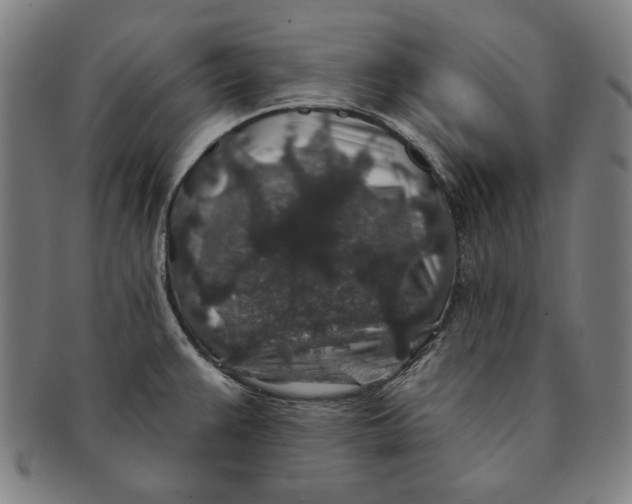 X0000091211383200708301418