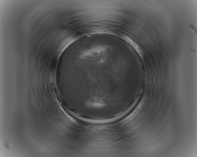 X0000091211385200708301418