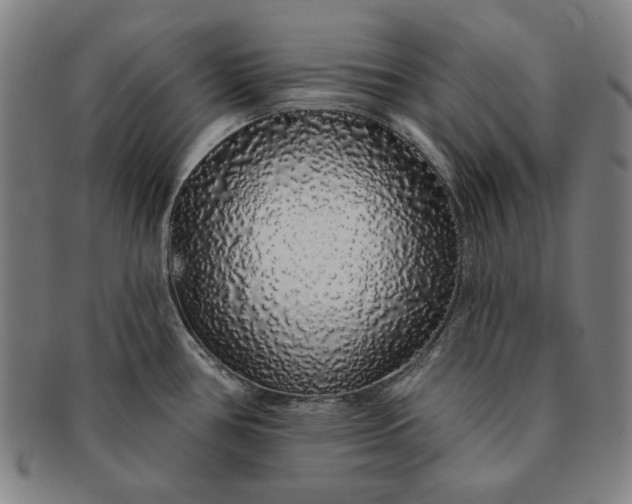 X0000091211386200708301418