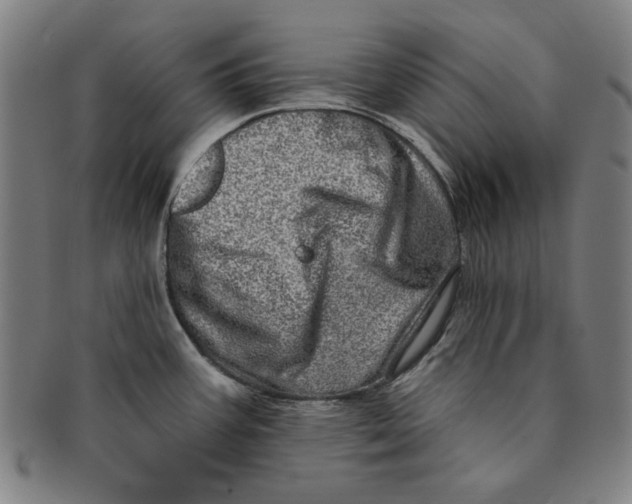 X0000091211387200708301418