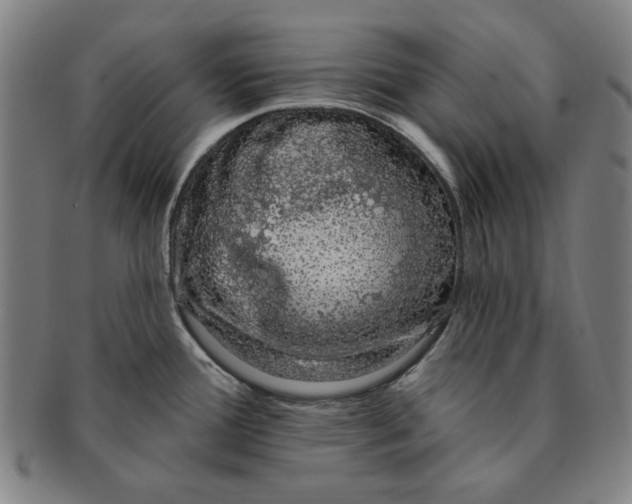 X0000091211388200708301418