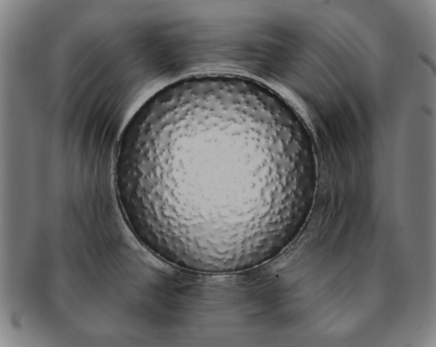 X0000091211390200708301418