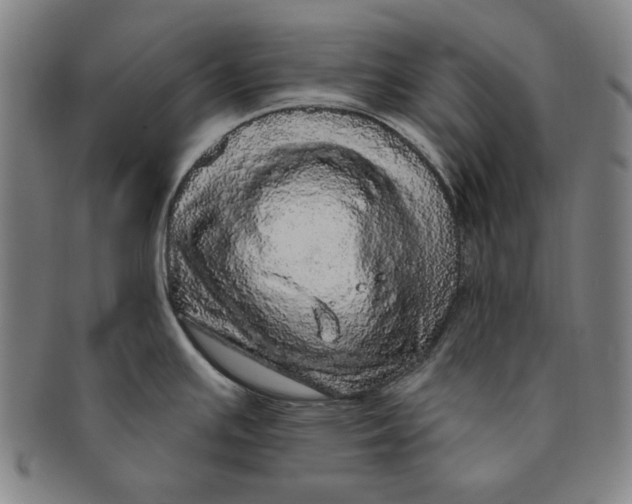 X0000091211391200708301418