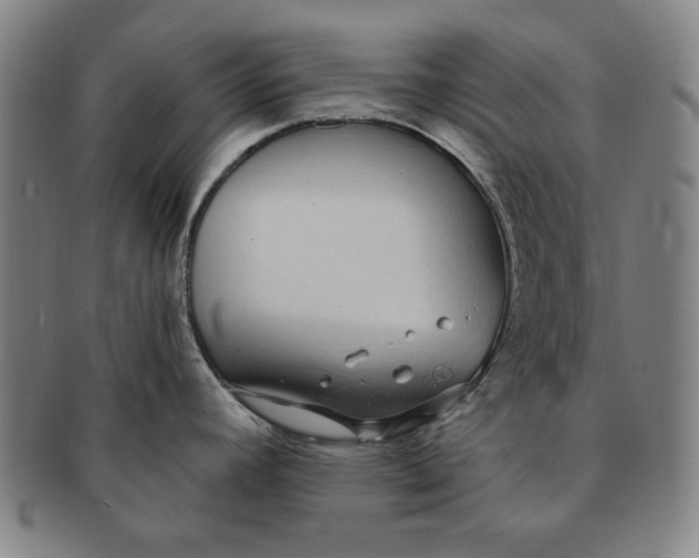 X0000091211392200708301418