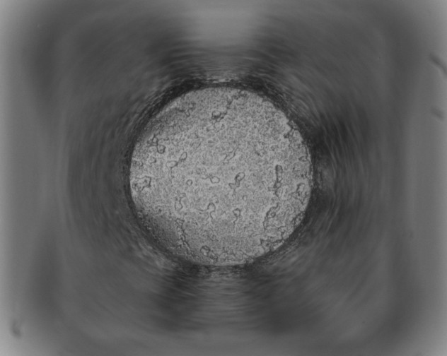 X0000091211393200708301417