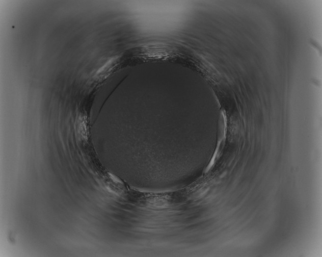 X0000091211394200708301417