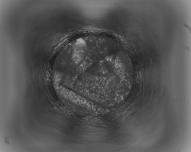 X0000091211397200708301417