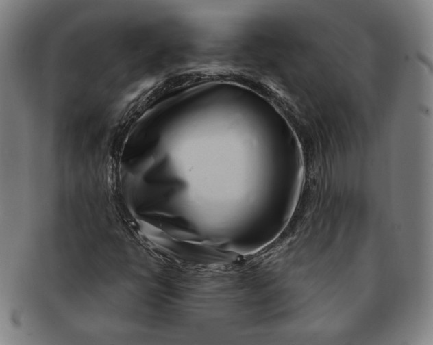 X0000091211398200708301417