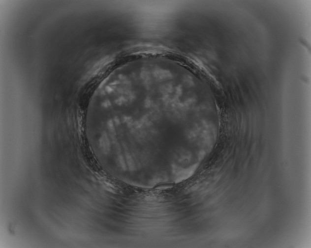 X0000091211399200708301417