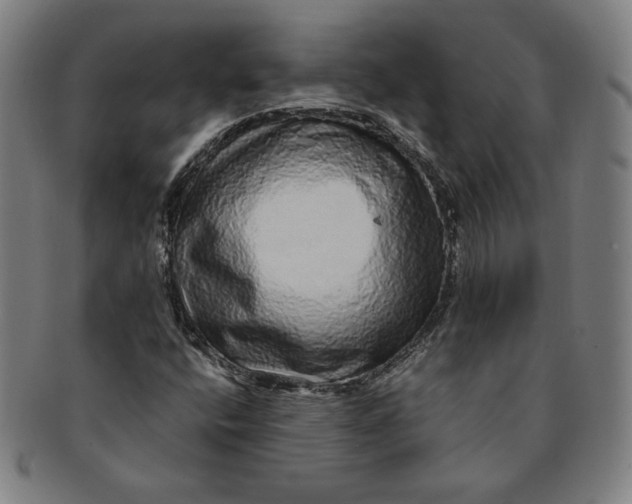 X0000091211400200708301417