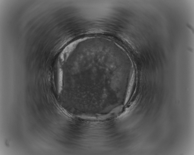 X0000091211401200708301418