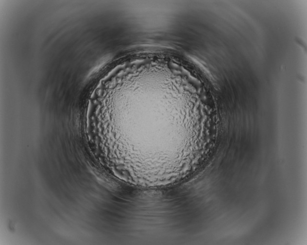 X0000091211403200708301418