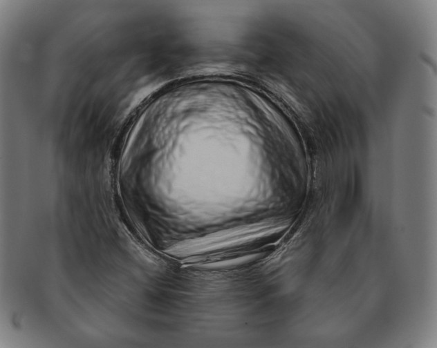 X0000091211404200708301418