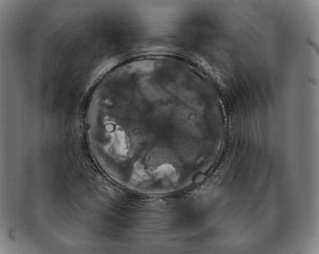 X0000091211405200708301418