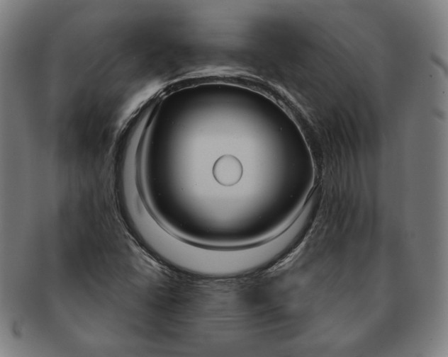 X0000091211406200708301418