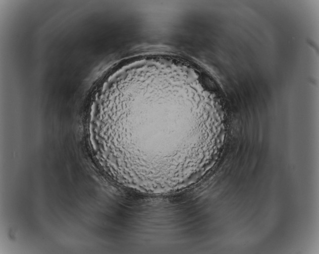 X0000091211407200708301418