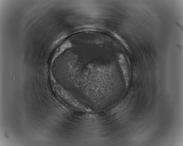 X0000091211411200708301418