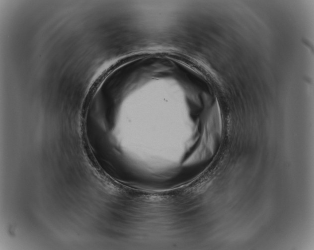 X0000091211412200708301418