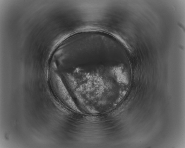 X0000091211413200708301418