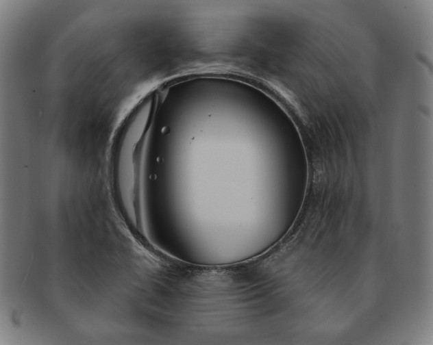 X0000091211414200708301418