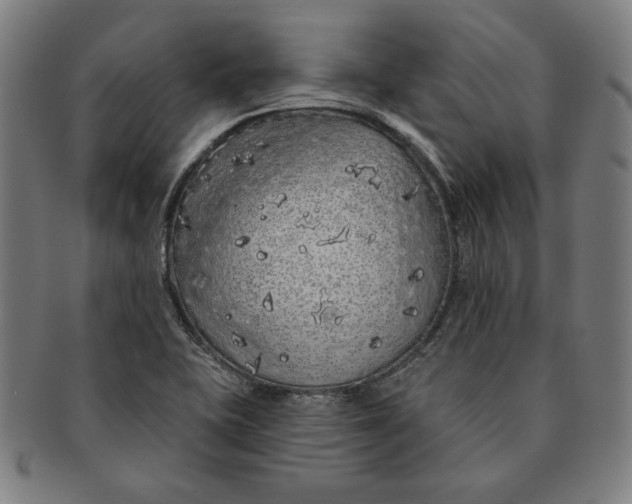 X0000091211415200708301418