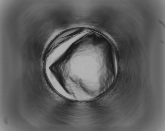 X0000091211416200708301418