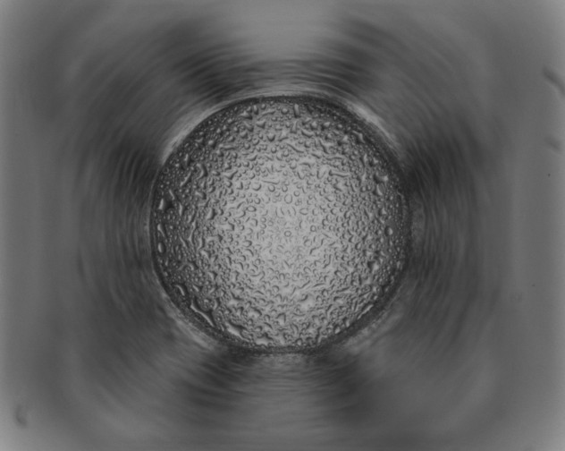 X0000091211417200708301418