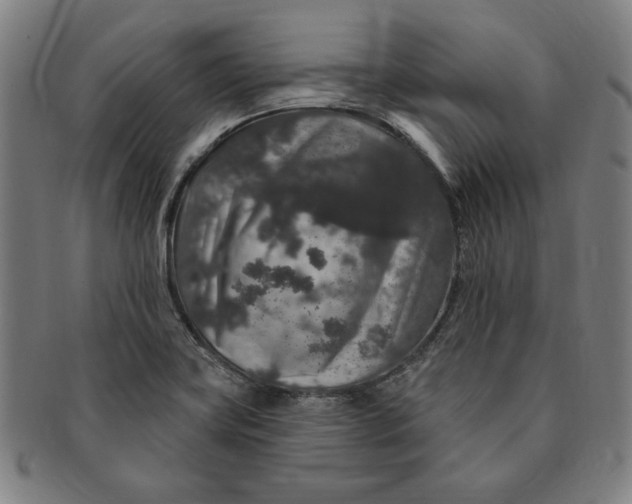 X0000091211419200708301418