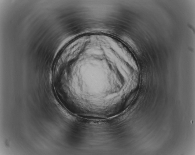 X0000091211420200708301418