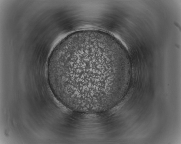 X0000091211421200708301418